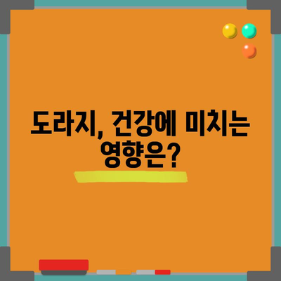도라지의 8가지 이점과 잠재적인 단점