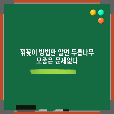 두릅나무 번식 | 꺾꽂이를 통한 쉬운 모종 확보