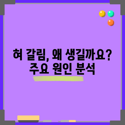 혀 갈림 원인과 실용적인 해결책
