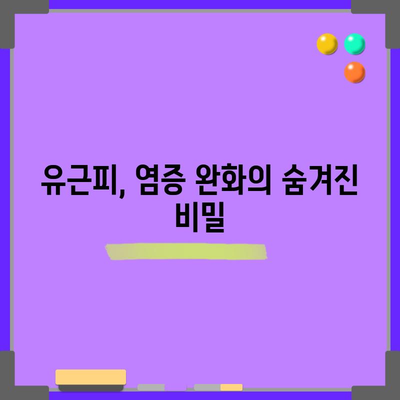 유근피의 6가지 놀라운 약효