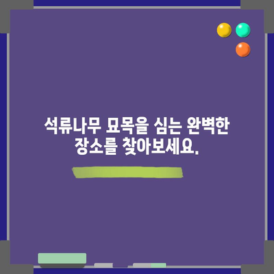 석류나무 묘목 심기 가이드 | 성공을 위한 방법과 시기