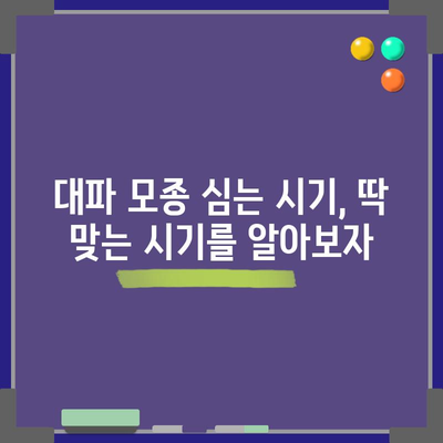대파 모종 심기의 쉬운 비결 | 계절별 안내