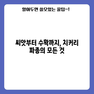 심장 건강과 항암에 좋은 치커리 파종 가이드