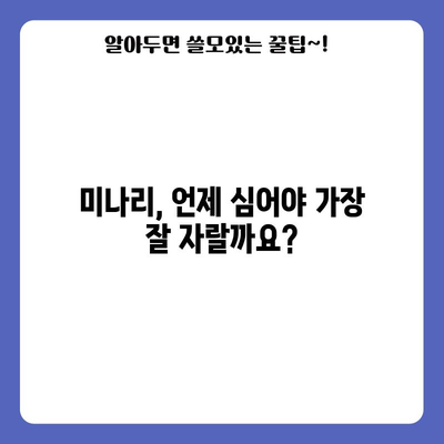 미나리 재배의 비결 | 시기, 방법, 팁을 알아보세요