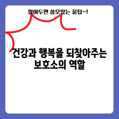 강아지 보호소 | 의미와 역할