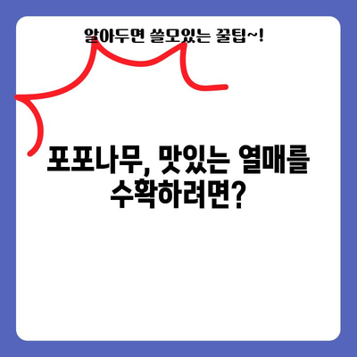 포포나무 재배 완벽 가이드 | 성공적인 키우기 방법