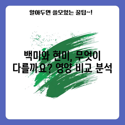 현미의 7가지 건강 효능과 선택 가이드 | 영양소 풍부한 식단을 위한 비결