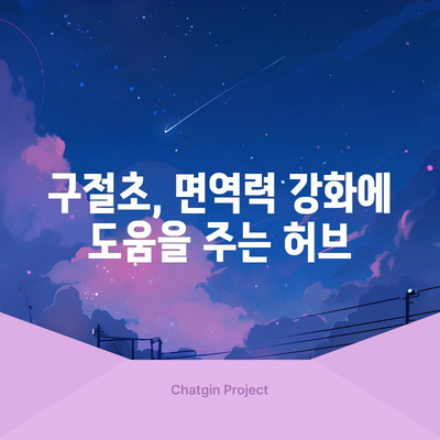 구절초의 4가지 효능과 사용법