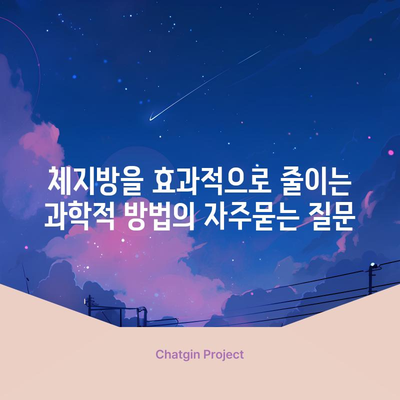 체지방을 효과적으로 줄이는 과학적 방법