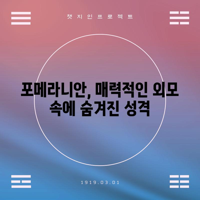 포메라니안 가이드 | 분양 가격, 성격, 입양 전 알아야 할 모든 것