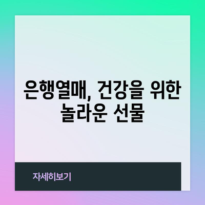 은행열매의 놀라운 치유력 | 혈압 조절과 기억력 향상