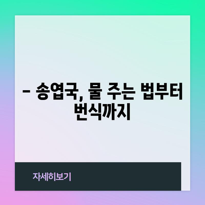 다육이 키우는 초보자 가이드 | 송엽국의 비밀