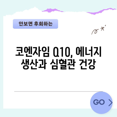 코엔자임 Q10, 건강한 심혈관계를 위한 비결