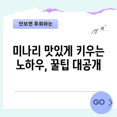 미나리 재배의 비결 | 시기, 방법, 팁을 알아보세요