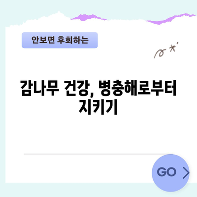 감나무 관리 완전 가이드 | 병충해 방제, 가지치기, 감꽃 솎아주기
