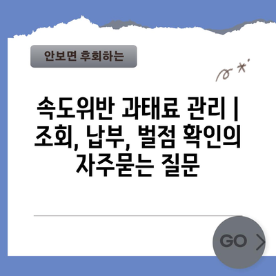 속도위반 과태료 관리 | 조회, 납부, 벌점 확인