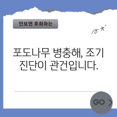 포도나무 병충해 대응 | 적기 판단 및 해결책
