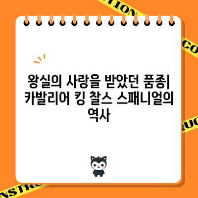 카발리어 킹 찰스 스패니얼 | 유래, 특징, 수명