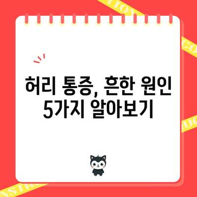 허리 통증 5가지 원인과 자가 관리 팁