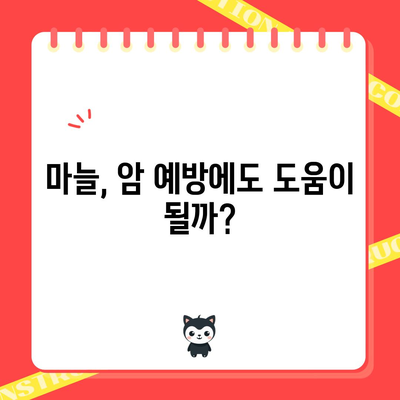 마늘 | 자연의 항생제로 알려진 놀라운 효과
