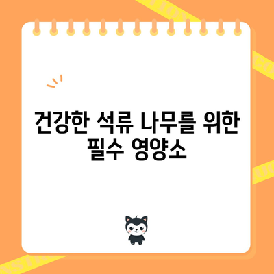 석류 거름의 효과적인 방법 | 생존의 필수 요인