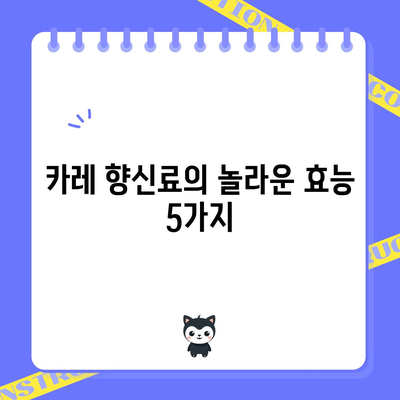 카레 향신료 | 건강에 좋은 5가지 숨겨진 효능