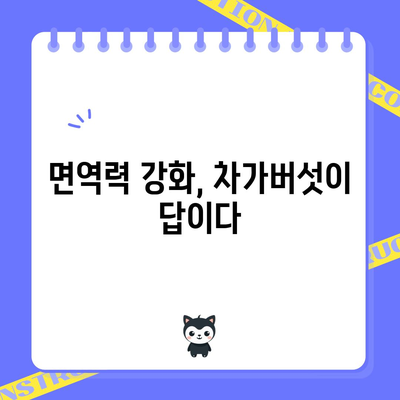 차가버섯의 면역력 증강 효능 | 환절기에 맞서세요