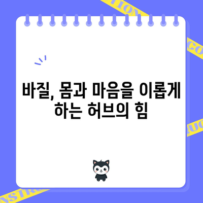바질의 다양한 효능 | 건강, 뷰티, 요리에서의 응용