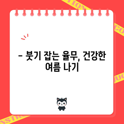 여름에 꼭 먹어야 할 율무의 효능