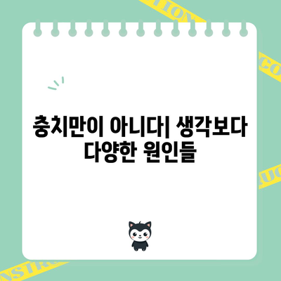 치통의 숨겨진 8가지 원인