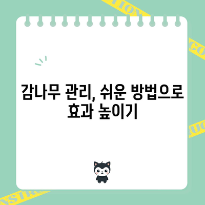 감나무 관리 완전 가이드 | 병충해 방제, 가지치기, 감꽃 솎아주기