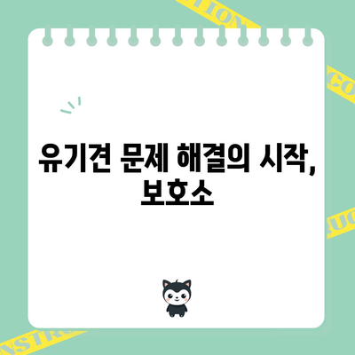 강아지 보호소 | 의미와 역할