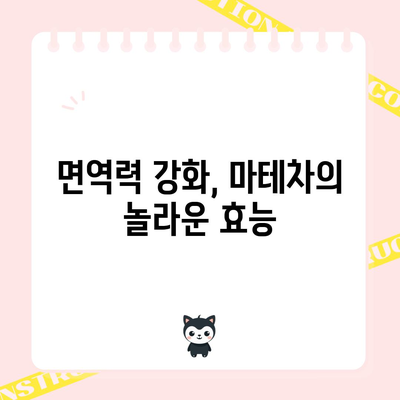 마테차의 활력 | 건강과 활력 증진