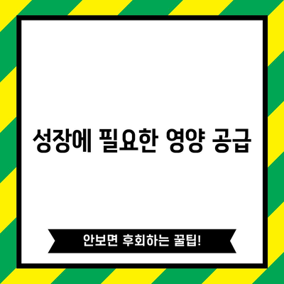 참외 모종 키우기 | 성공적인 수확을 위한 심기부터 순치까지