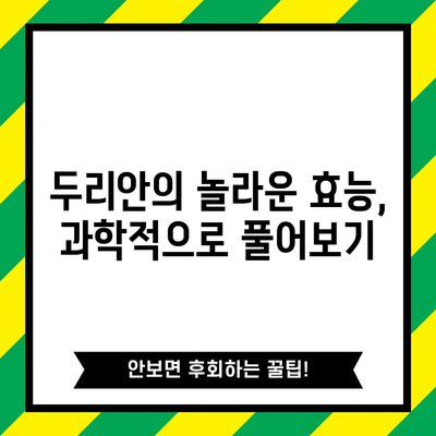 두리안의 달콤한 비밀 | 효능과 칼로리 풀이