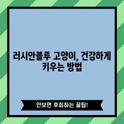 러시안블루 고양이 이해하기 | 특징, 성격, 분양