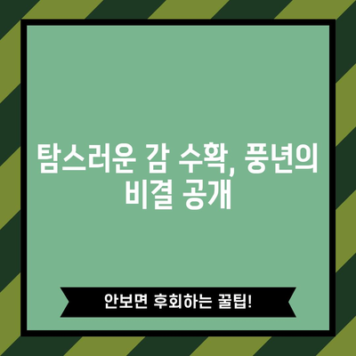 감나무 재배 완전 정복 | 달콤한 열매를 선사하는 방법