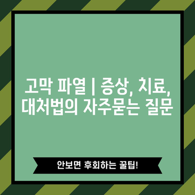 고막 파열 | 증상, 치료, 대처법