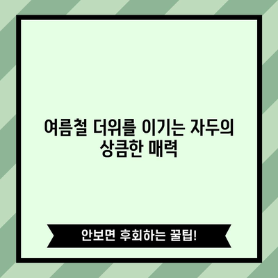자두 | 단맛과 건강함이 공존하는 놀라운 효능