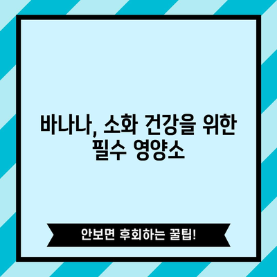 바나나 | 건강에 좋은 6가지 이유