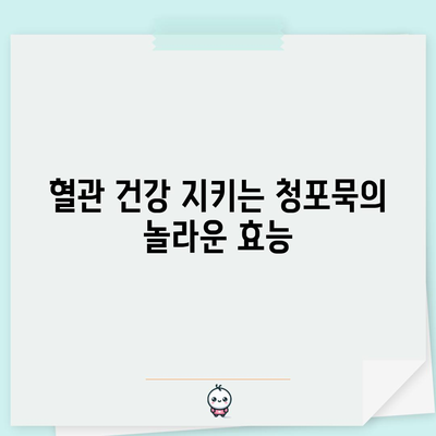 청포묵, 건강에 좋은 5가지 놀라운 효능