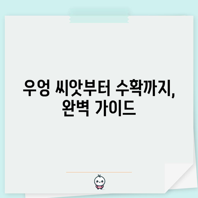 우엉 키우기 쉽고 빠르게 성공하는 전 과정