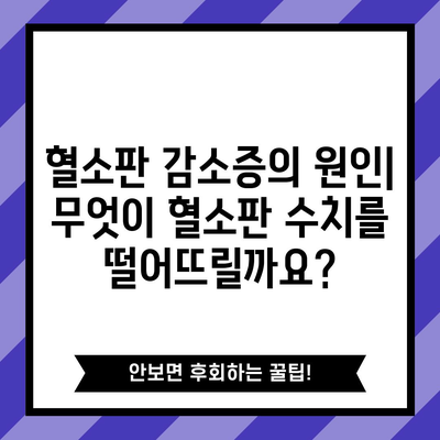 혈소판 감소 | 원인, 증상, 주의 사항