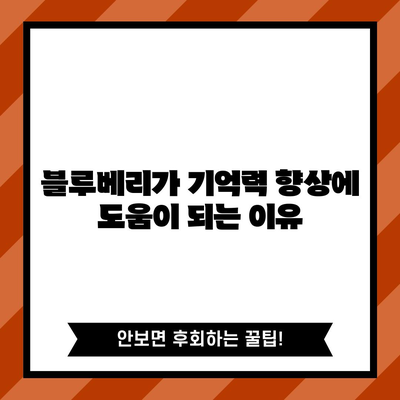 뇌 건강을 위한 블루베리의 3가지 이점