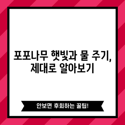 포포나무 재배 완벽 가이드 | 성공적인 키우기 방법