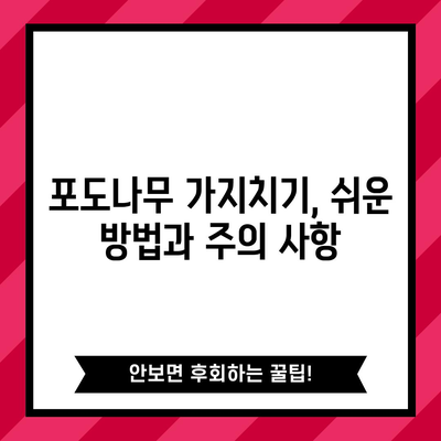 포도나무 가지치기 | 풍부한 수확을 위한 완벽한 가이드