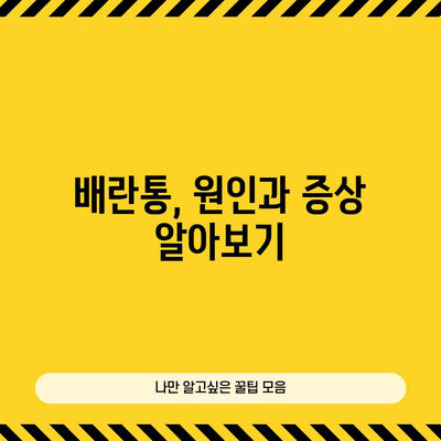 배란통 증상과 기간 이해하기