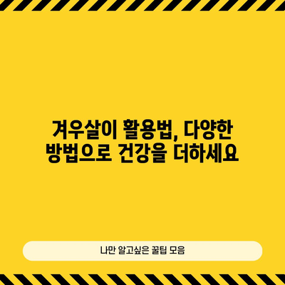 겨우살이 | 다목적 허브의 건강상 이점 탐구