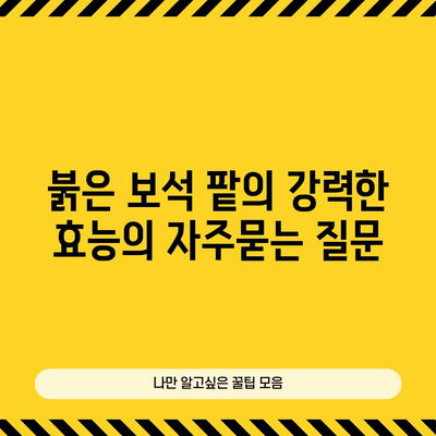 붉은 보석 팥의 강력한 효능