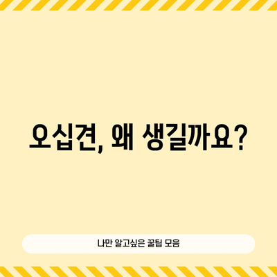 오십견 대처법 | 증상, 원인, 효과적인 치료 방법